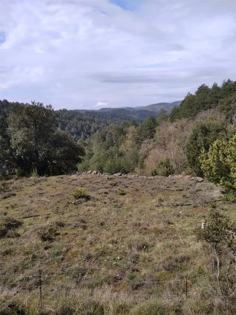 Land for sale in La Pobla de Benifassà Land for sale in La Pobla de Benifassà