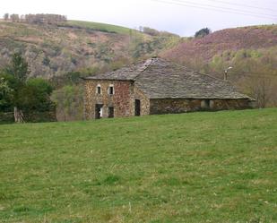 Vista exterior de Finca rústica en venda en Santa Eulalia de Oscos