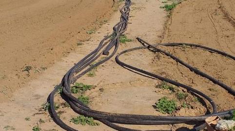 Photo 5 of Land for sale in Camino de la Jara, La Jara, Cádiz