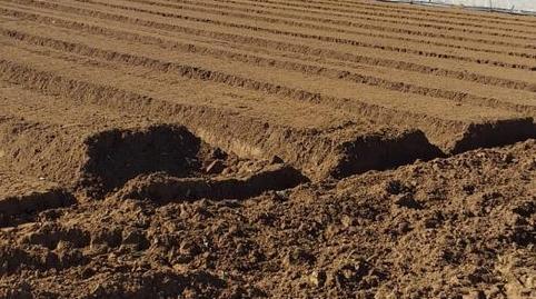 Photo 2 of Land for sale in Camino de la Jara, La Jara, Cádiz