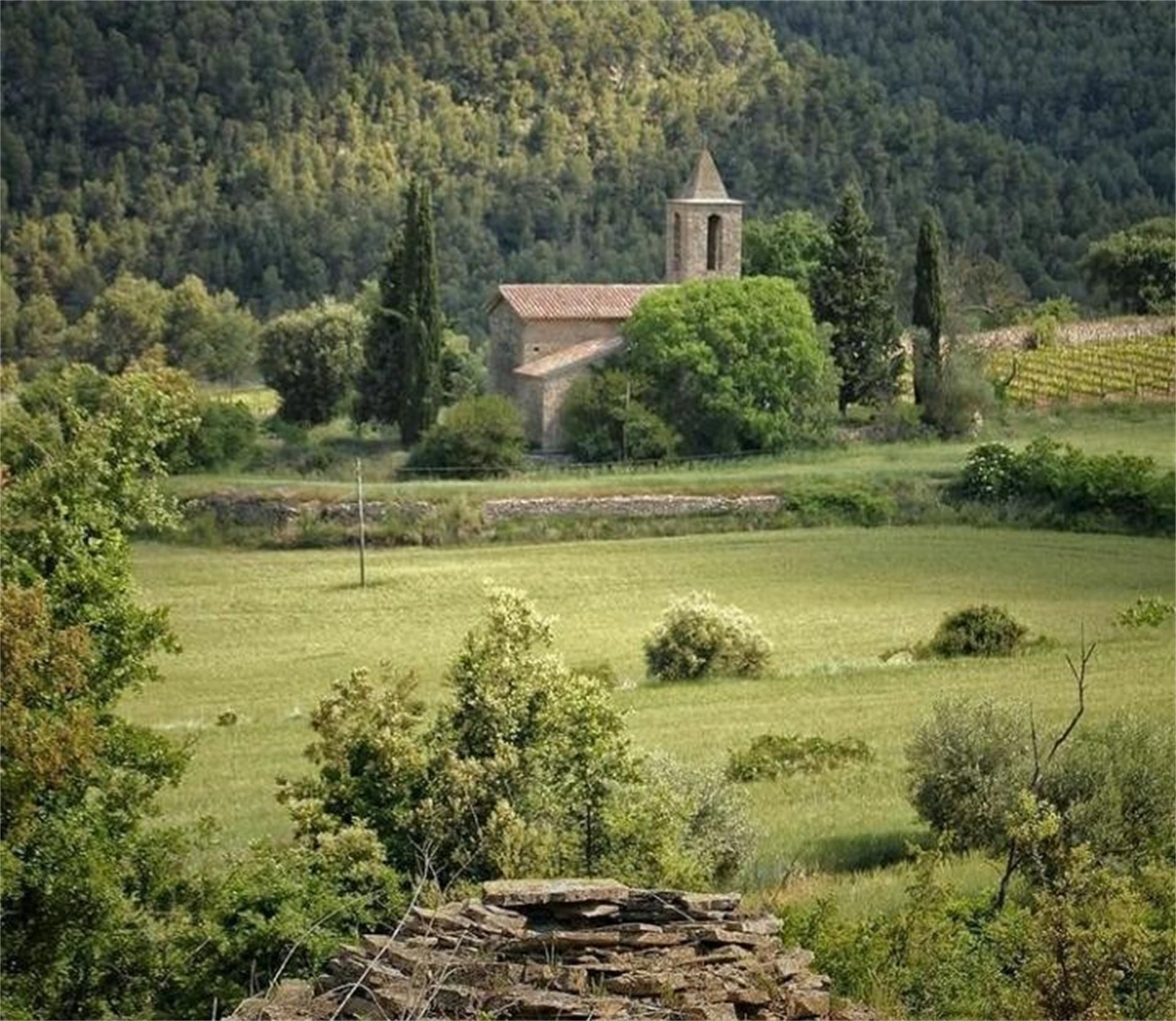 Vista exterior de Finca rústica en venda en Sallent amb Aire condicionat, Calefacció i Jardí privat