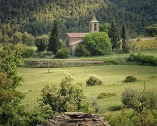 Vista exterior de Finca rústica en venda en Sallent amb Aire condicionat, Calefacció i Jardí privat