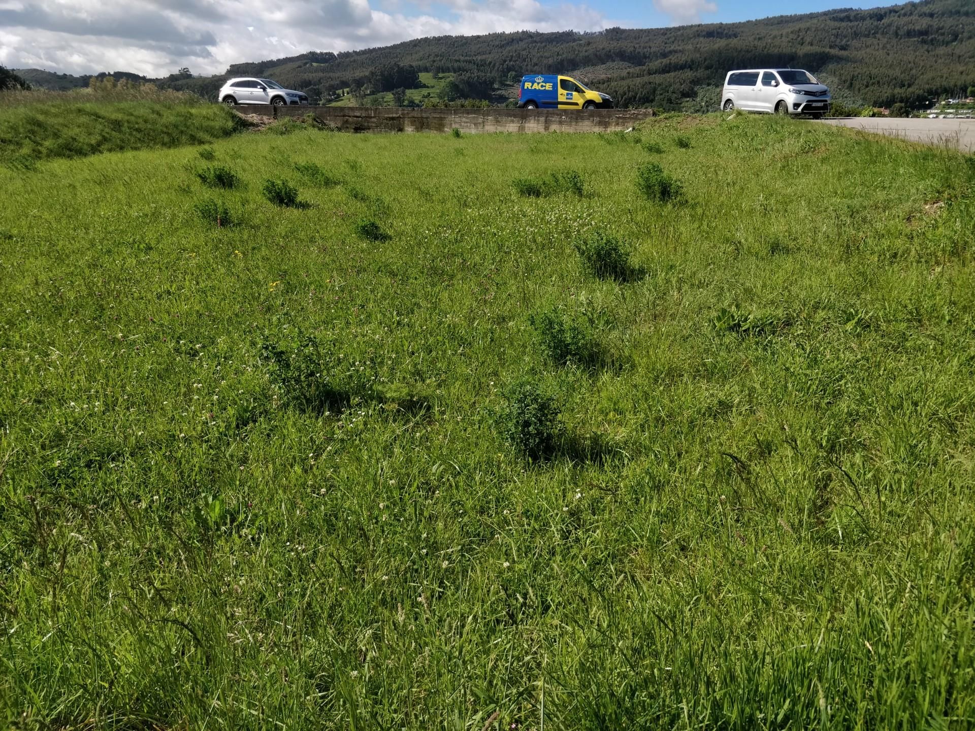 Exterior view of Land for sale in Castro-Urdiales