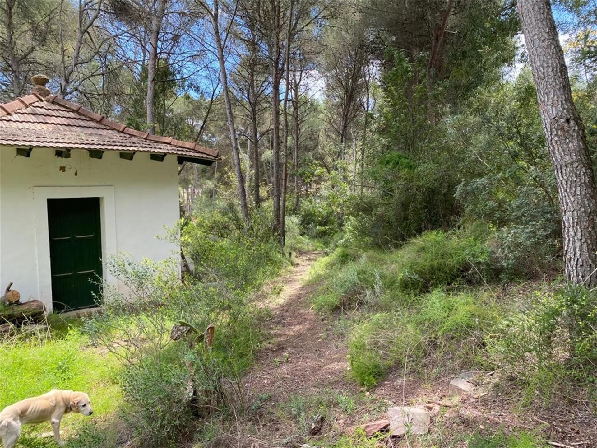 Constructible Land for sale in Náquera