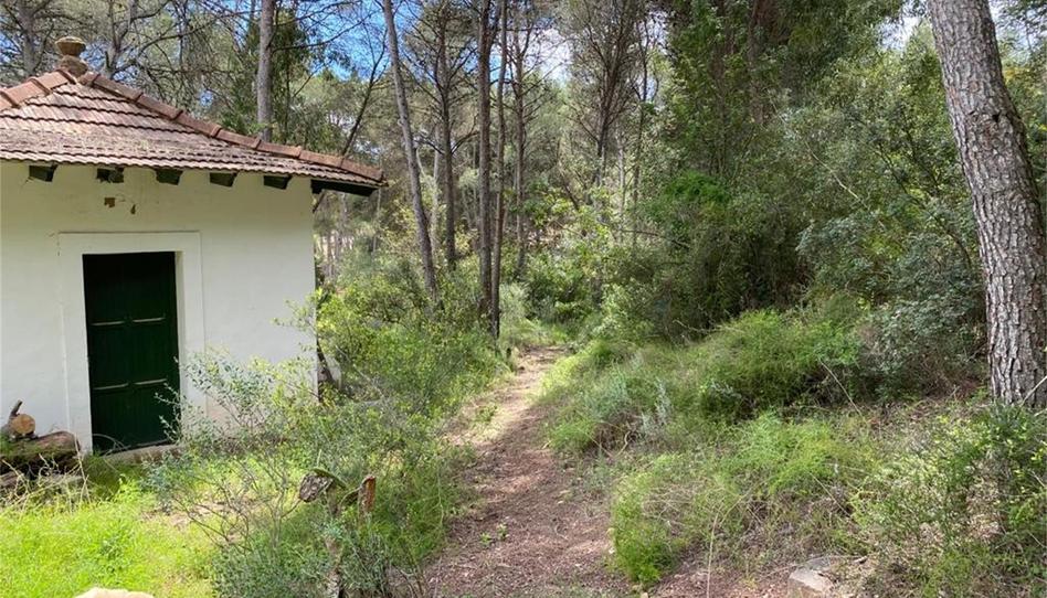 Foto 1 de Urbanizable en venta en Calle de la Carrasca, 20, Monteamor - La Carrasca - El Peucal, Valencia