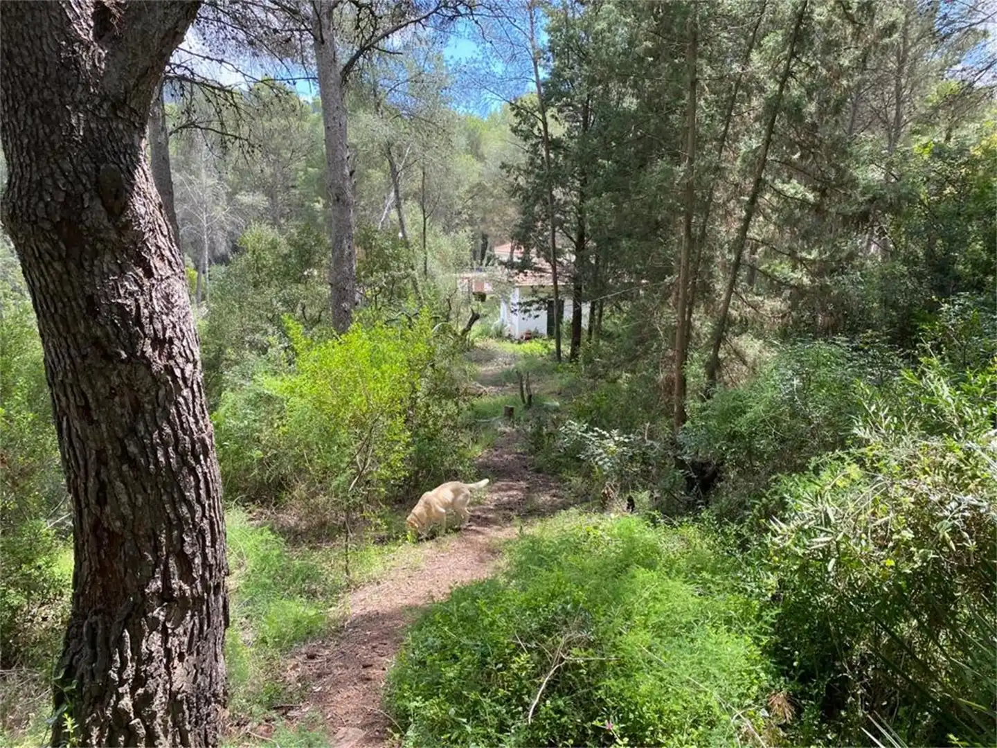 Urbanizable en venta en Náquera