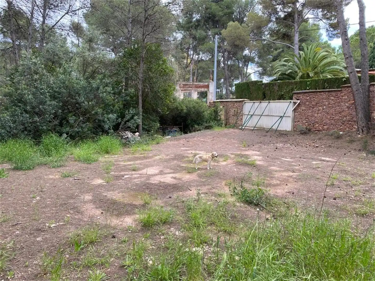 Urbanizable en venta en Náquera