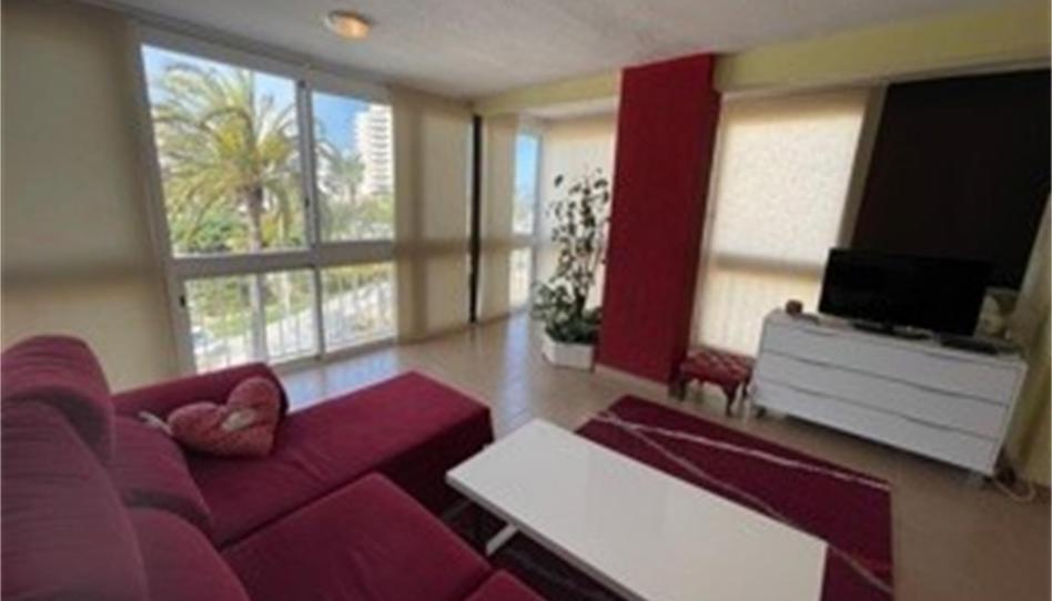 Flat to rent in Puerto, Alicante - image 1 Photo 1 of Flat to rent in Puerto, Alicante