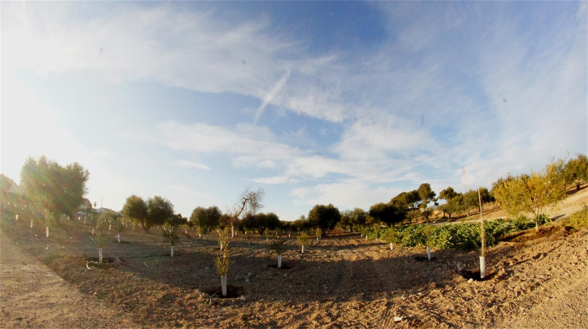 Garden of Land for sale in Cambrils