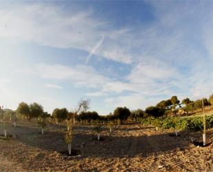 Garden of Land for sale in Cambrils