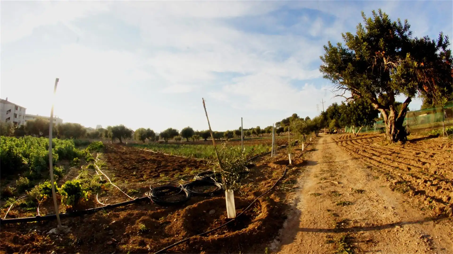 Land for sale in Cambrils