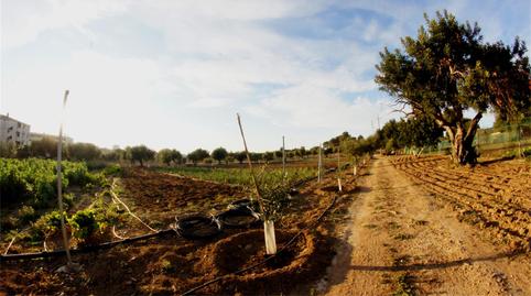 Photo 4 of Land for sale in Camí de Les Comes Trami, Mas de Clariana, Tarragona