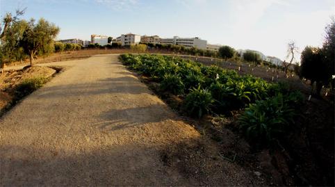 Photo 5 of Land for sale in Camí de Les Comes Trami, Mas de Clariana, Tarragona