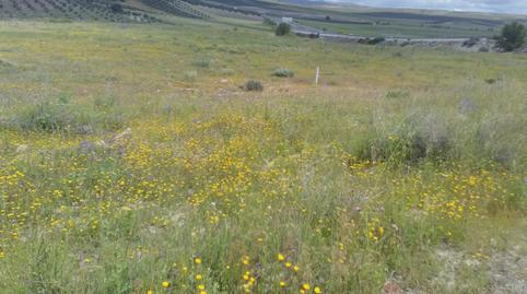 Terreny en venda a A-403, Dehesas Viejas, Granada - imatge 3 Foto 3 de Terreny en venda a A-403, Dehesas Viejas, Granada