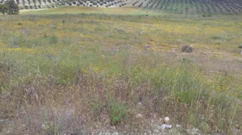 Terreny en venda a A-403, Dehesas Viejas, Granada - imatge 2 Foto 2 de Terreny en venda a A-403, Dehesas Viejas, Granada