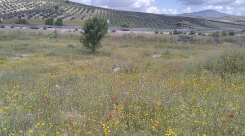 Terreny en venda a A-403, Dehesas Viejas, Granada - imatge 5 Foto 5 de Terreny en venda a A-403, Dehesas Viejas, Granada