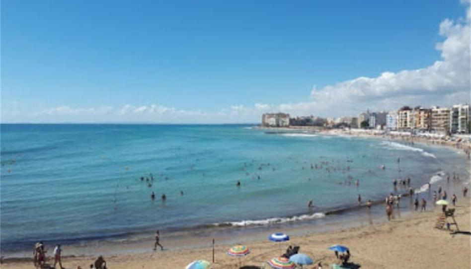 Pis de lloguer a Avenida Alfred Nobel, 2a, Zona los Frutales, Alicante - imatge 1 Foto 1 de Pis de lloguer a Avenida Alfred Nobel, 2a, Zona los Frutales, Alicante