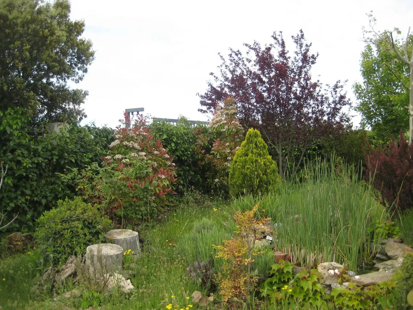 Garten von Nicht bebaubares Gelände zum Verkauf in Calvarrasa de Arriba