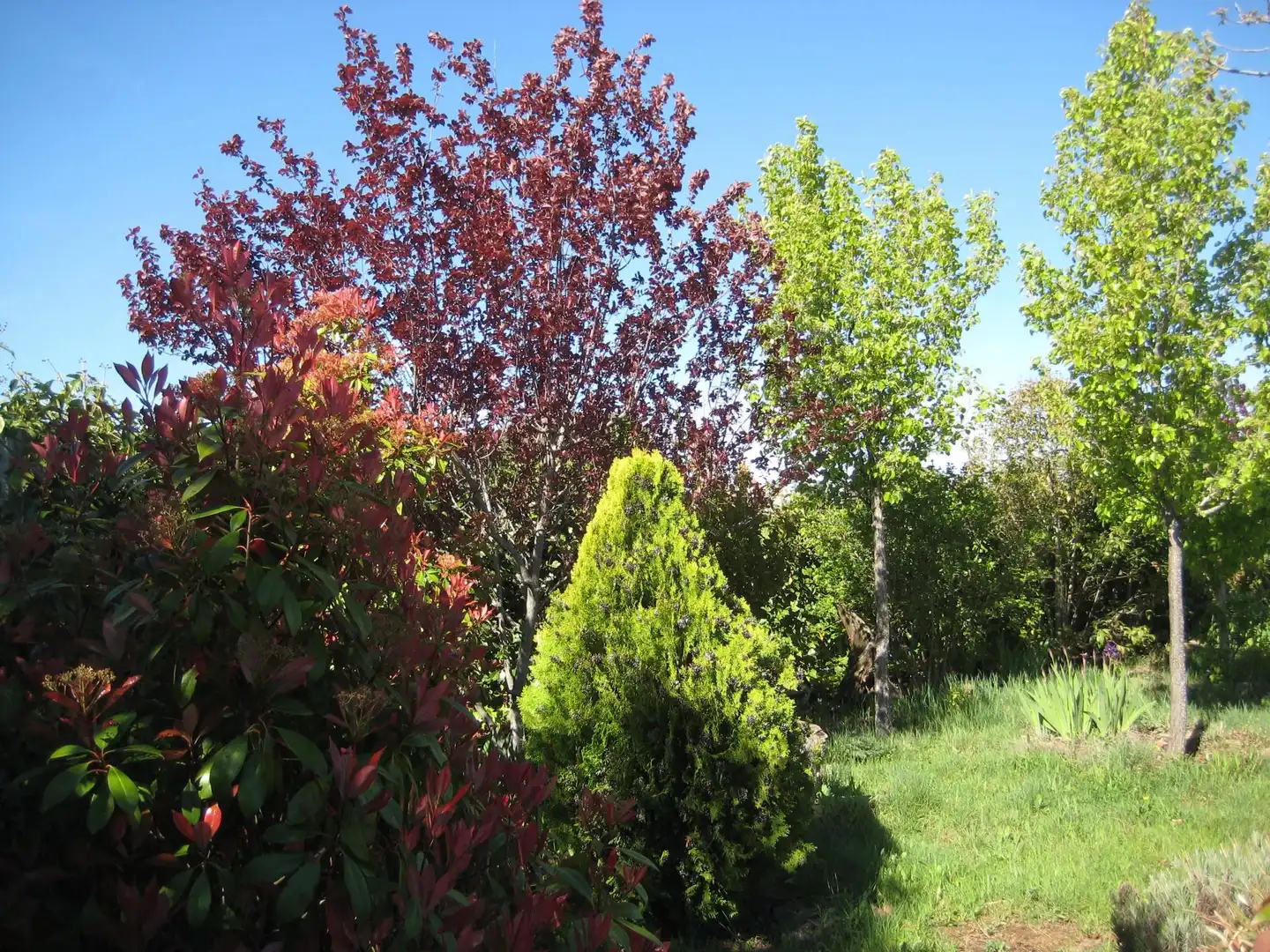 Garten von Nicht bebaubares Gelände zum Verkauf in Calvarrasa de Arriba