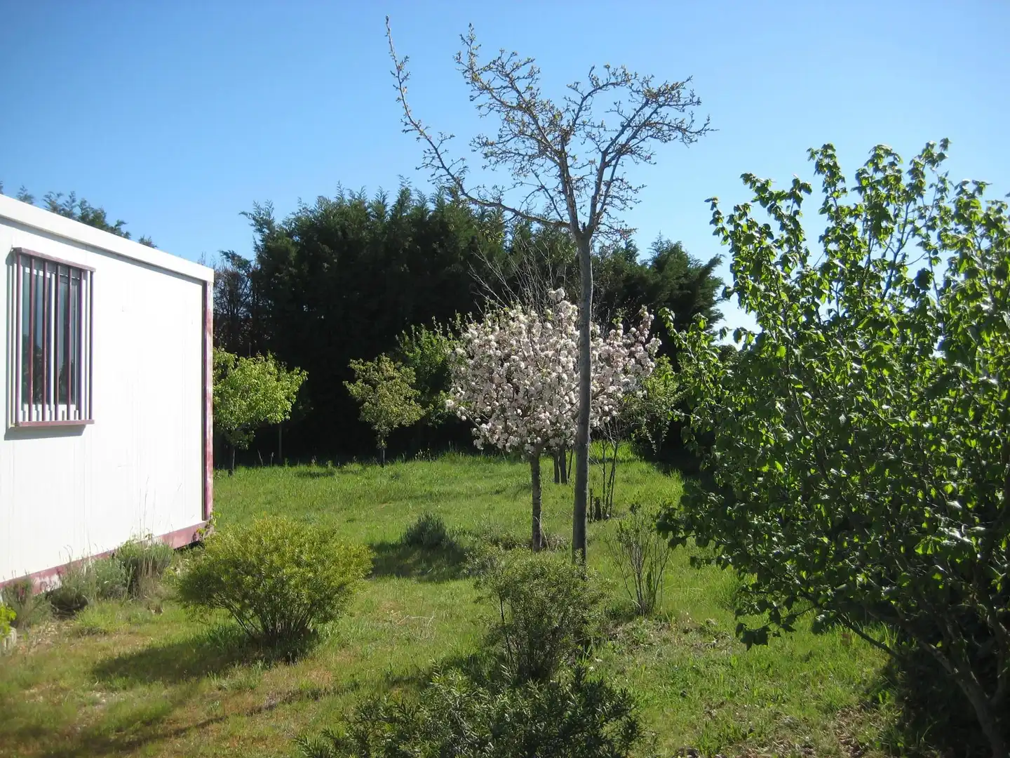 Garten von Nicht bebaubares Gelände zum Verkauf in Calvarrasa de Arriba