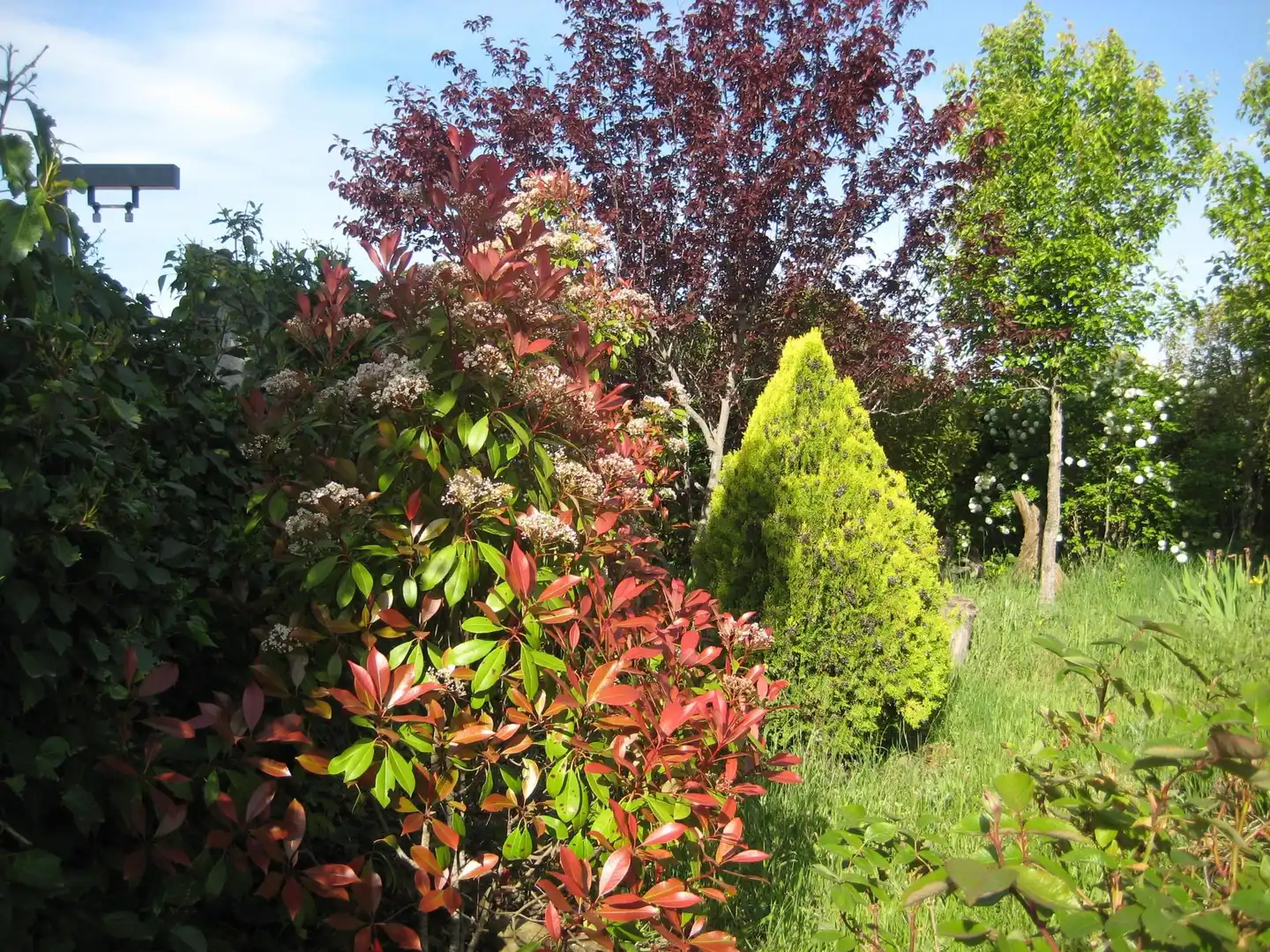 Garten von Nicht bebaubares Gelände zum Verkauf in Calvarrasa de Arriba
