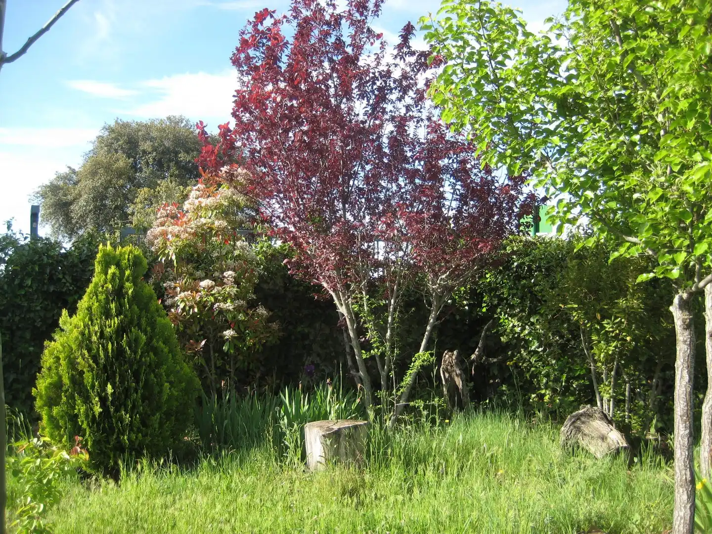 Garten von Nicht bebaubares Gelände zum Verkauf in Calvarrasa de Arriba