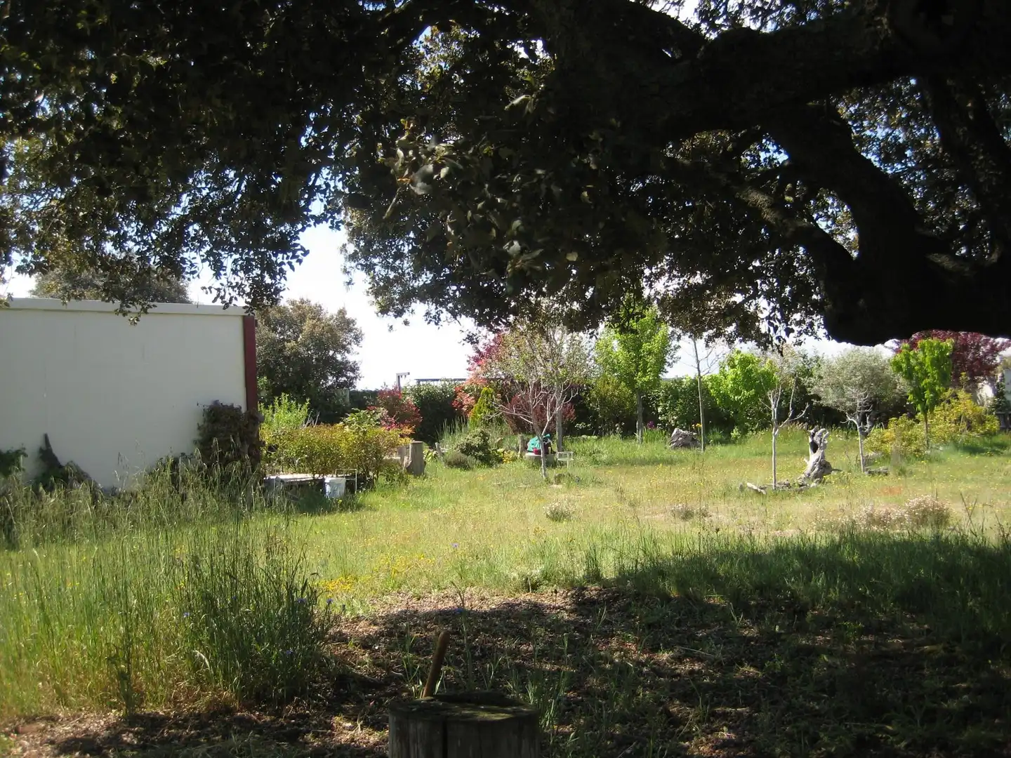 Nicht bebaubares Gelände zum Verkauf in Calvarrasa de Arriba