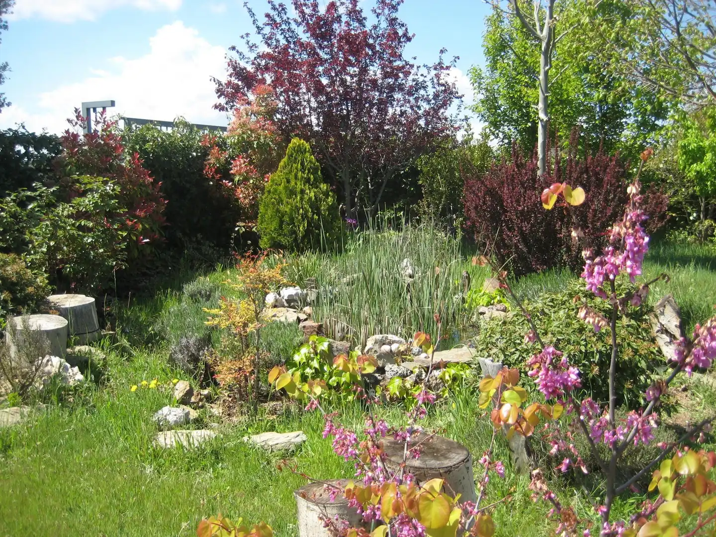 Garten von Nicht bebaubares Gelände zum Verkauf in Calvarrasa de Arriba