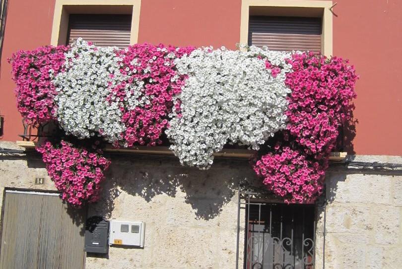 Casa adosada en venda a Plaza Mayor, Villaescusa de Roa, Burgos - imatge 1 Foto 1 de Casa adosada en venda a Plaza Mayor, Villaescusa de Roa, Burgos