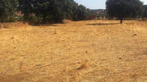 Photo 2 of Land for sale in Ba-077, Helechosa de los Montes, Badajoz