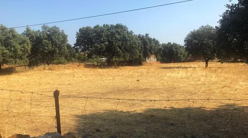 Photo 3 of Land for sale in Ba-077, Helechosa de los Montes, Badajoz