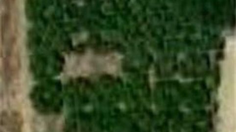 Terreno en venta en Camino Viejo de Sanlúcar, Loreto, Espartinas - imagen 2 Foto 2 de Terreno en venta en Camino Viejo de Sanlúcar, Loreto, Espartinas