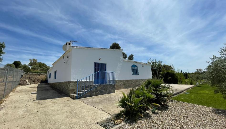 Foto 1 de Finca rústica en venda a A-2003, El Rocío - La Milagrosa, Cádiz