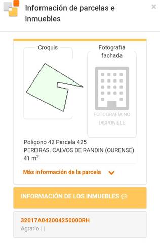 Finca rústica en Venta en Barrio Aira dos Condes, 39 en Calvos de Randín