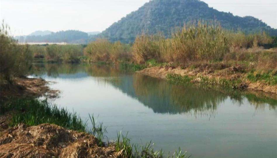 Pis en venda a Calle Mayor, 3, Senyera, Valencia - imatge 1 Foto 1 de Pis en venda a Calle Mayor, 3, Senyera, Valencia