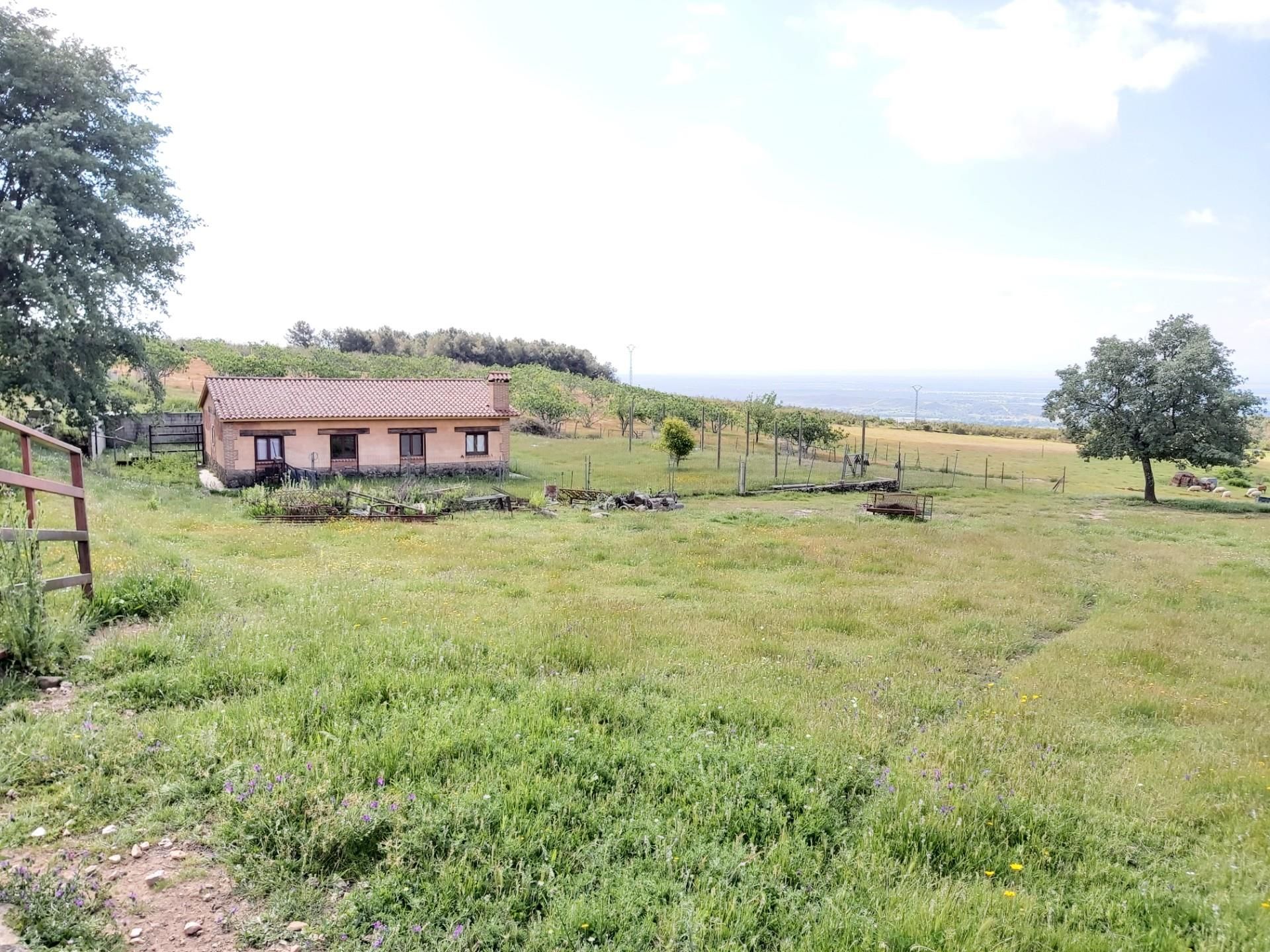 Land for sale in Candeleda