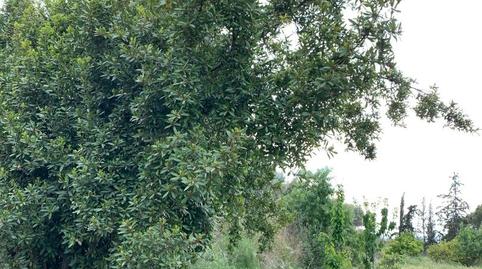 Land for sale in Rm-d8, Aguaderas, Murcia - image 5 Photo 5 of Land for sale in Rm-d8, Aguaderas, Murcia