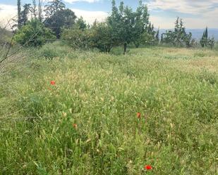 Exterior view of Land for sale in Lorca