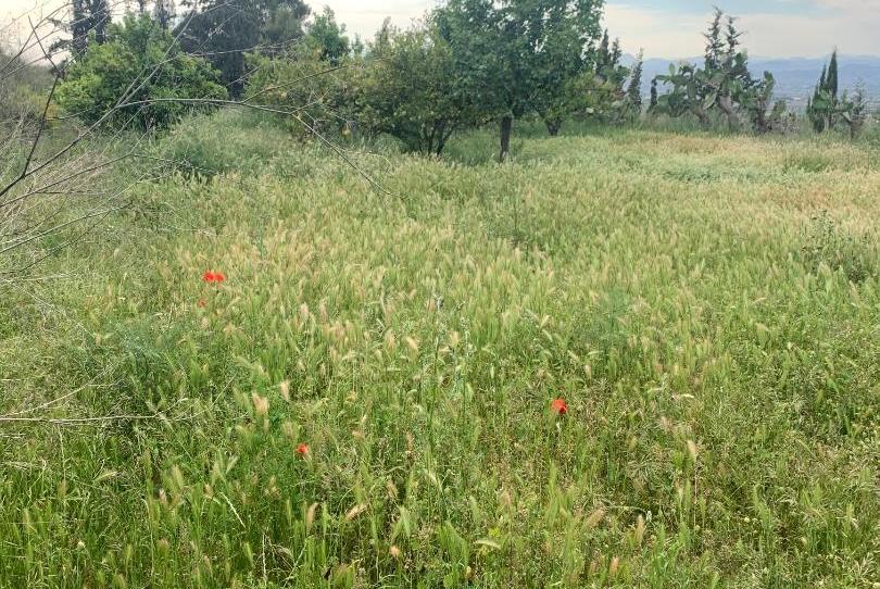 Land for sale in Rm-d8, Aguaderas, Murcia - image 1 Photo 1 of Land for sale in Rm-d8, Aguaderas, Murcia