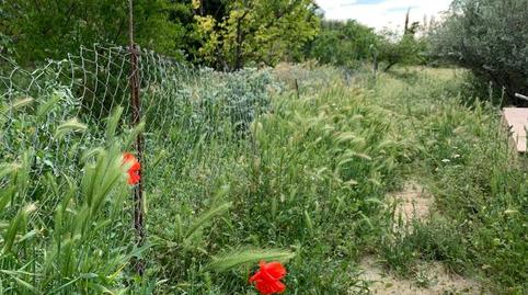 Land for sale in Rm-d8, Aguaderas, Murcia - image 4 Photo 4 of Land for sale in Rm-d8, Aguaderas, Murcia