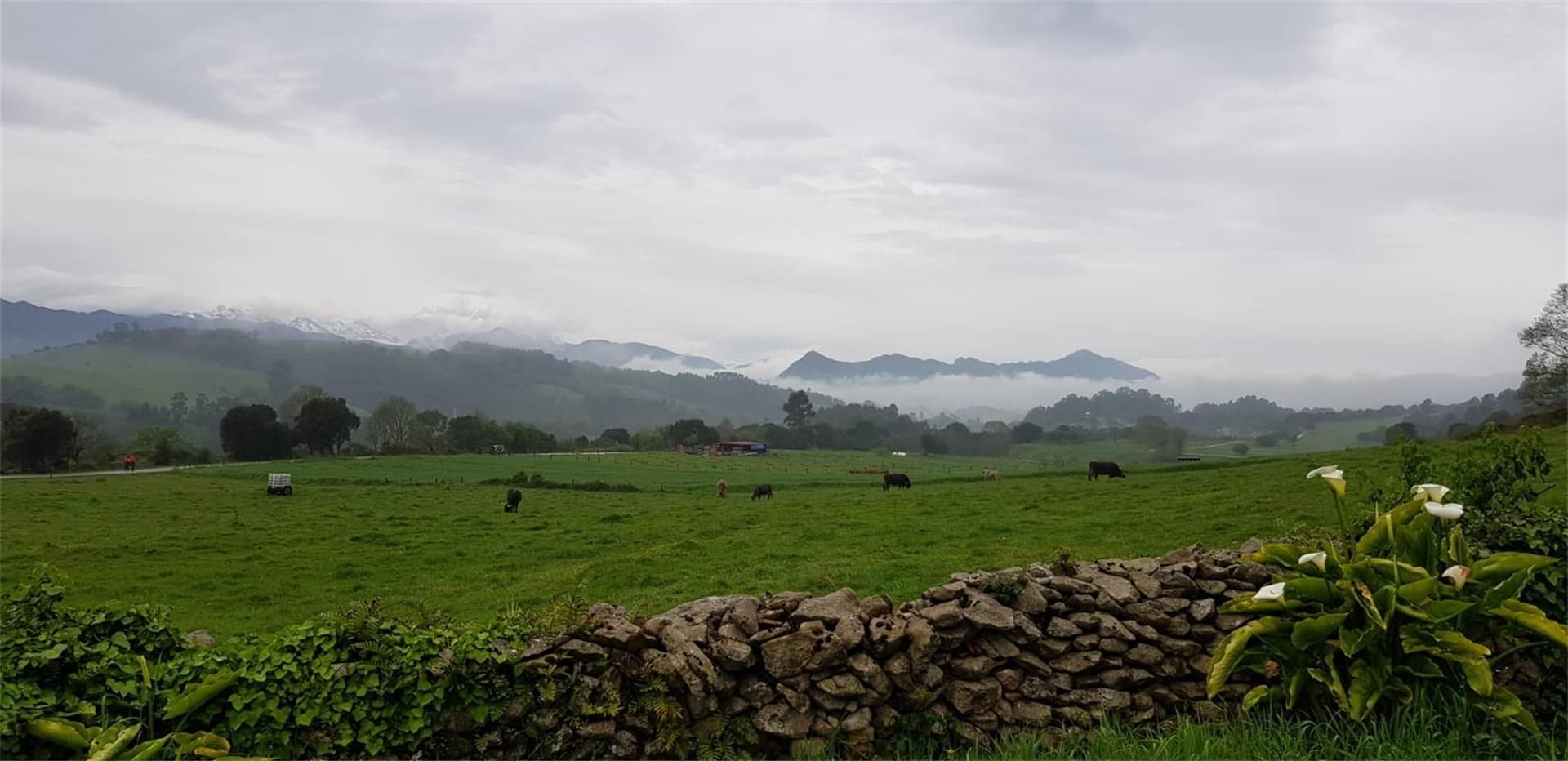 Exterior view of House or chalet for sale in Val de San Vicente   with Terrace