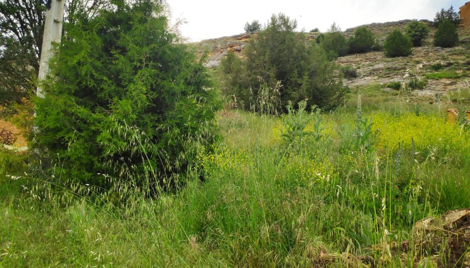 Foto 1 von Grundstücke zum Verkauf in Calle Doña Gregoria, 62, Castillejo de Robledo, Soria