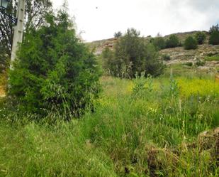 Finca rústica en venda en Castillejo de Robledo