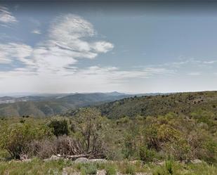 Land for sale in Laroya