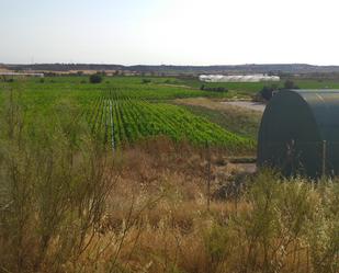 Außenansicht von Grundstücke zum verkauf in La Pueblanueva