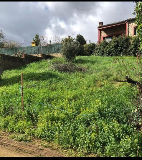 Foto 2 de Terreno en venta en Calle Poniente, 12, Cañamero, Cáceres