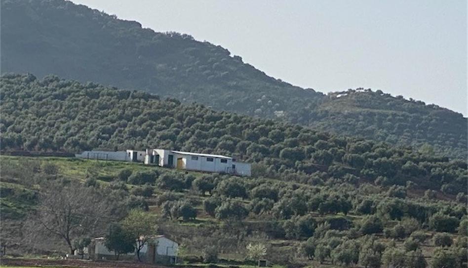 Photo 1 of Land for sale in Avenida de Andalucía, Santisteban del Puerto, Jaén