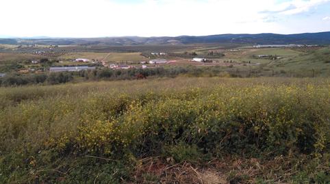 Photo 2 of Land for sale in Avenida de Andalucía, Santisteban del Puerto, Jaén