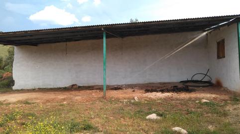 Photo 5 of Land for sale in Avenida de Andalucía, Santisteban del Puerto, Jaén