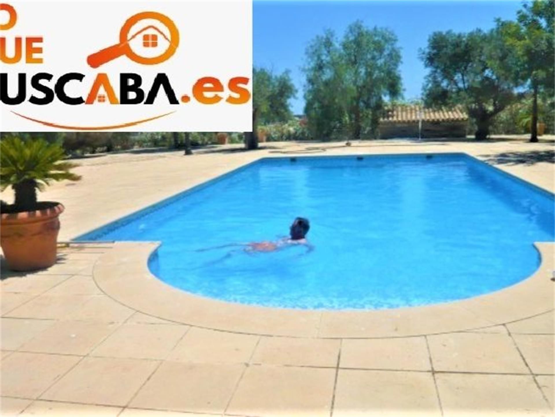 Piscina de Finca rústica en venda en San Miguel de Salinas amb Aire condicionat, Terrassa i Piscina